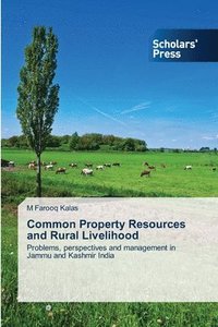 bokomslag Common Property Resources and Rural Livelihood