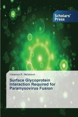 bokomslag Surface Glycoprotein Interaction Required for Paramyxovirus Fusion