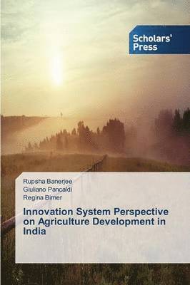 bokomslag Innovation System Perspective on Agriculture Development in India