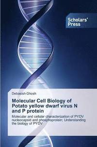bokomslag Molecular Cell Biology of Potato Yellow Dwarf Virus N and P Protein