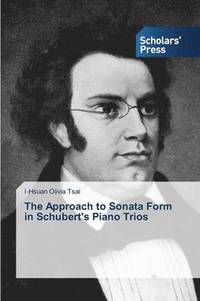 bokomslag The Approach to Sonata Form in Schubert's Piano Trios