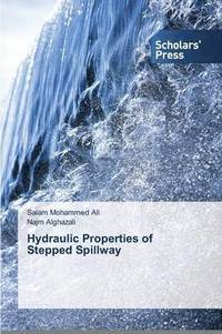 bokomslag Hydraulic Properties of Stepped Spillway