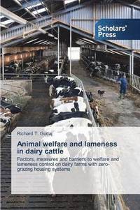 bokomslag Animal welfare and lameness in dairy cattle