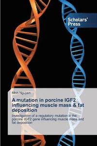 bokomslag A mutation in porcine IGF2 influencing muscle mass & fat deposition