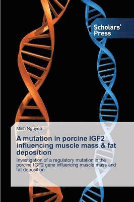 A mutation in porcine IGF2 influencing muscle mass & fat deposition 1