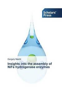 bokomslag Insights into the assembly of NiFe hydrogenase enzymes