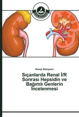 bokomslag S&#305;anlarda Renal &#304;/R Sonras&#305; Hepsidin ve Ba&#287;&#305;ml&#305; Genlerin &#304;ncelenmesi