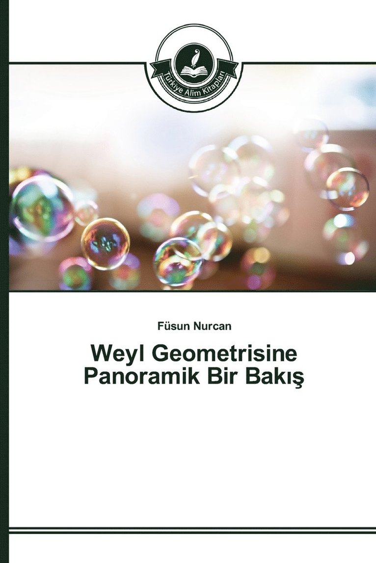 Weyl Geometrisine Panoramik Bir Bak&#305;&#351; 1