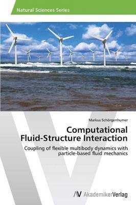bokomslag Computational Fluid-Structure Interaction