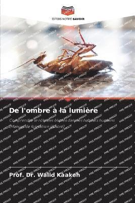 De l'ombre à la lumière