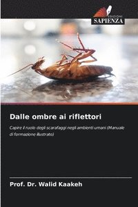 bokomslag Dalle ombre ai riflettori