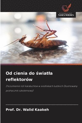bokomslag Od cienia do ?wiatla reflektorów