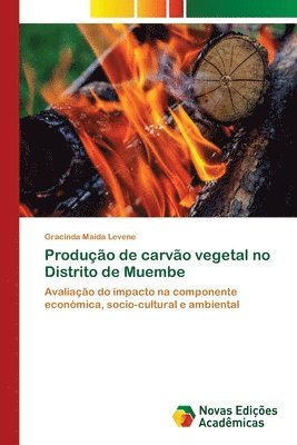 bokomslag Produo de carvo vegetal no Distrito de Muembe