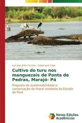 Cultivo do turu nos manguezais de Ponta de Pedras, Marajó- Pá 1