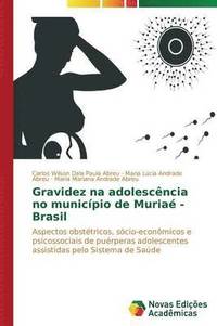 bokomslag Gravidez na adolescncia no municpio de Muria - Brasil