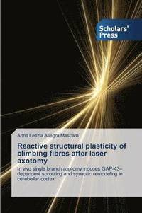 bokomslag Reactive Structural Plasticity of Climbing Fibres After Laser Axotomy
