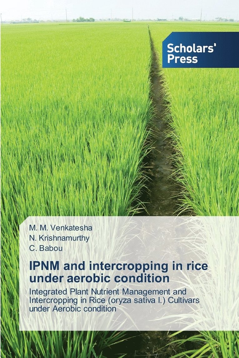 IPNM and intercropping in rice under aerobic condition 1