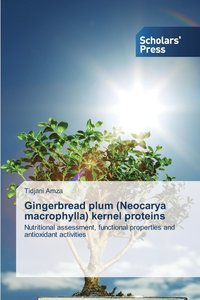 bokomslag Gingerbread plum (Neocarya macrophylla) kernel proteins