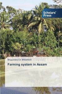 bokomslag Farming system in Assam