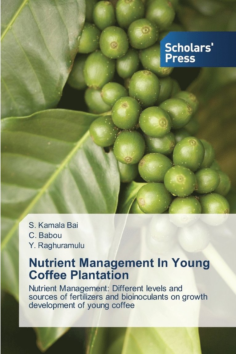 Nutrient Management In Young Coffee Plantation 1