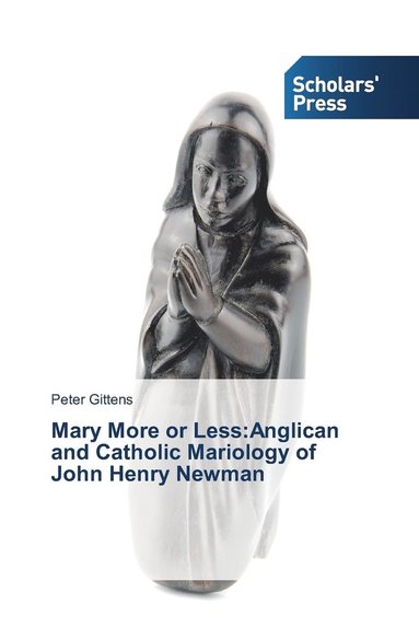 bokomslag Mary More or Less