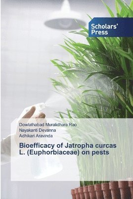 bokomslag Bioefficacy of Jatropha curcas L. (Euphorbiaceae) on pests