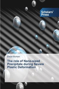 bokomslag The role of Nano-sized Precipitate during Severe Plastic Deformation