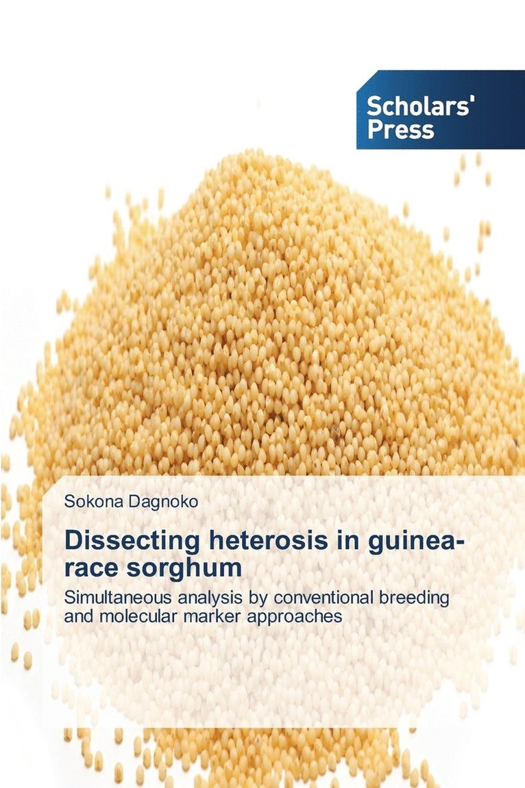 Dissecting heterosis in guinea-race sorghum 1