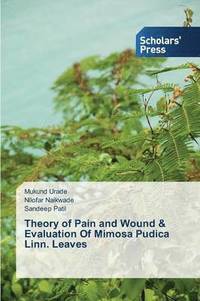 bokomslag Theory of Pain and Wound & Evaluation Of Mimosa Pudica Linn. Leaves
