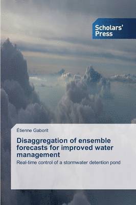 Disaggregation of ensemble forecasts for improved water management 1