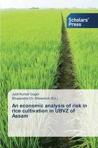 bokomslag An economic analysis of risk in rice cultivation in UBVZ of Assam