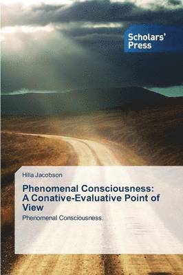 Phenomenal Consciousness 1