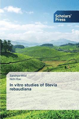 In vitro studies of Stevia rebaudiana 1