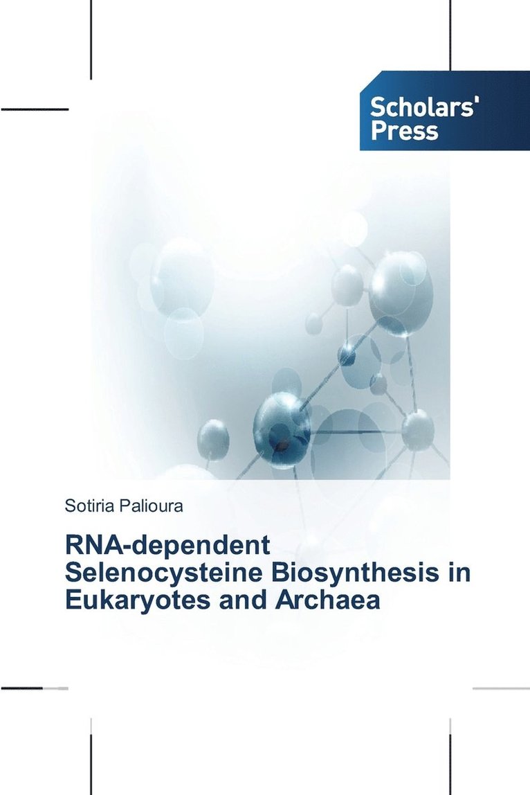 RNA-dependent Selenocysteine Biosynthesis in Eukaryotes and Archaea 1