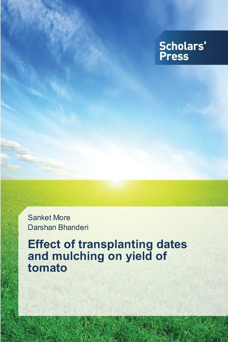 Effect of transplanting dates and mulching on yield of tomato 1