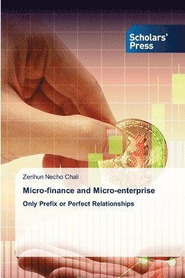 Micro-finance and Micro-enterprise 1