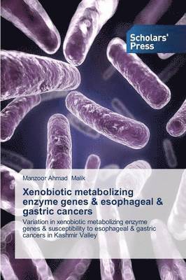 Xenobiotic Metabolizing Enzyme Genes & Esophageal & Gastric Cancers 1