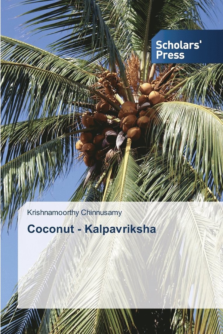 Coconut - Kalpavriksha 1