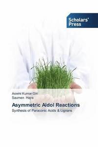 bokomslag Asymmetric Aldol Reactions