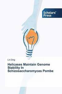 bokomslag Helicases Maintain Genome Stability In Schizosaccharomyces Pombe