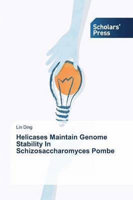 bokomslag Helicases Maintain Genome Stability In Schizosaccharomyces Pombe
