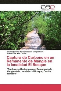 bokomslag Captura de Carbono en un Remanente de Mangle en la localidad El Bosque