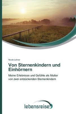 bokomslag Von Sternenkindern und Einhrnern