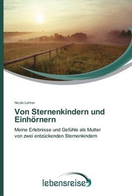 bokomslag Von Sternenkindern und Einhrnern