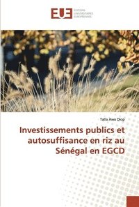 bokomslag Investissements publics et autosuffisance en riz au Senegal en EGCD