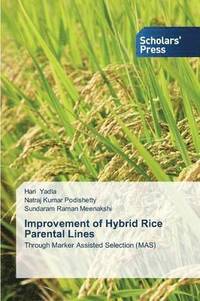 bokomslag Improvement of Hybrid Rice Parental Lines