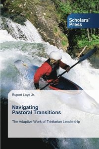 bokomslag Navigating Pastoral Transitions