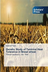 bokomslag Genetic Study of Terminal Heat Tolerance in Bread wheat