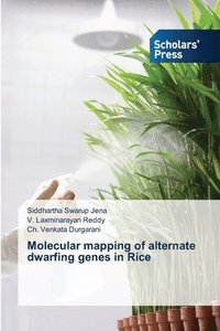 bokomslag Molecular mapping of alternate dwarfing genes in Rice
