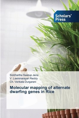 Molecular mapping of alternate dwarfing genes in Rice 1